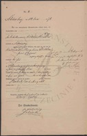 Geburts-Register (Haupt-Register)