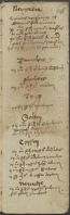 Registrum sublevatorum memoriarum ecclesiae Caminensis, vol. I.